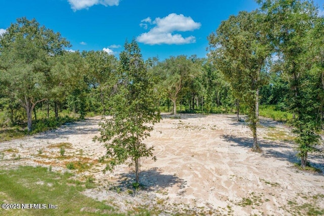 15427 Bullock Bluff Rd, Bryceville, FL 32009