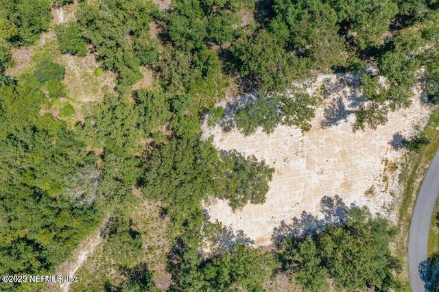 15427 Bullock Bluff Rd, Bryceville, FL 32009