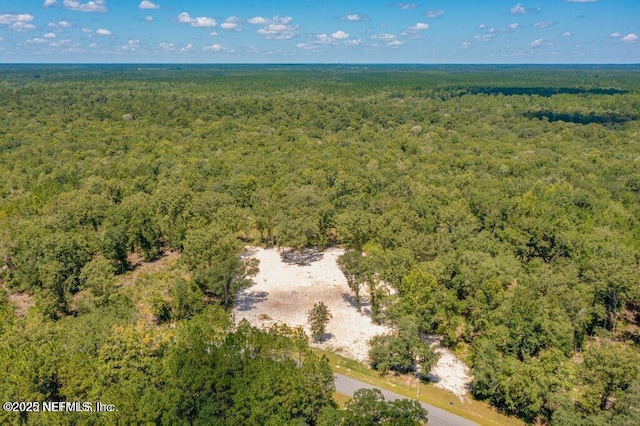 15427 Bullock Bluff Rd, Bryceville, FL 32009