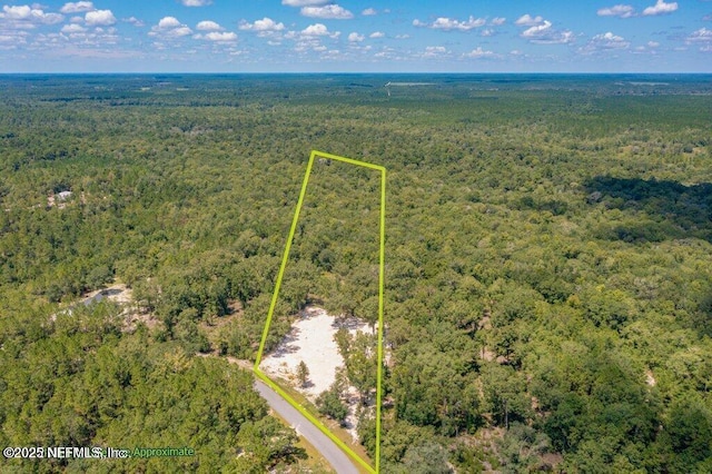 15427 Bullock Bluff Rd, Bryceville, FL 32009