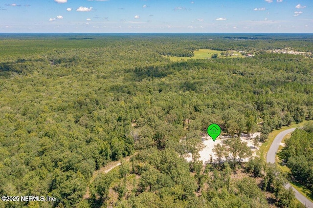 15427 Bullock Bluff Rd, Bryceville, FL 32009