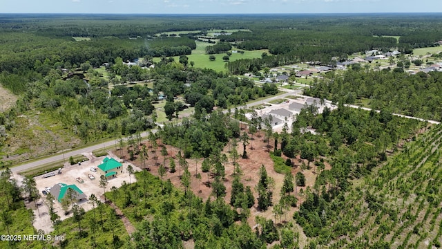 8815 Ford Rd, Bryceville, FL 32009 - photo 5