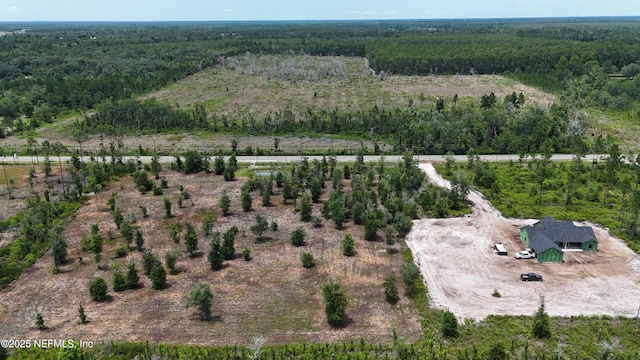 8815 Ford Rd, Bryceville, FL 32009 - photo 6