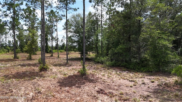 8815 Ford Rd, Bryceville, FL 32009 - photo 7