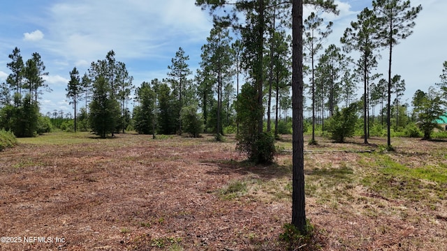 8815 Ford Rd, Bryceville, FL 32009 - photo 8