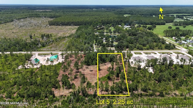 8815 Ford Rd, Bryceville, FL 32009 - photo 2