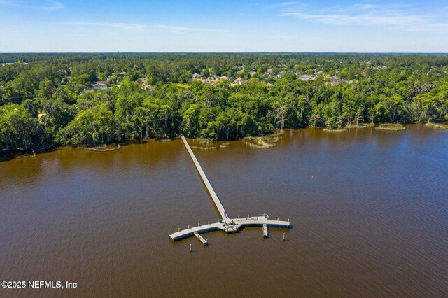 1529 Waterbridge Ct, Fleming Island, FL 32003 - photo 63