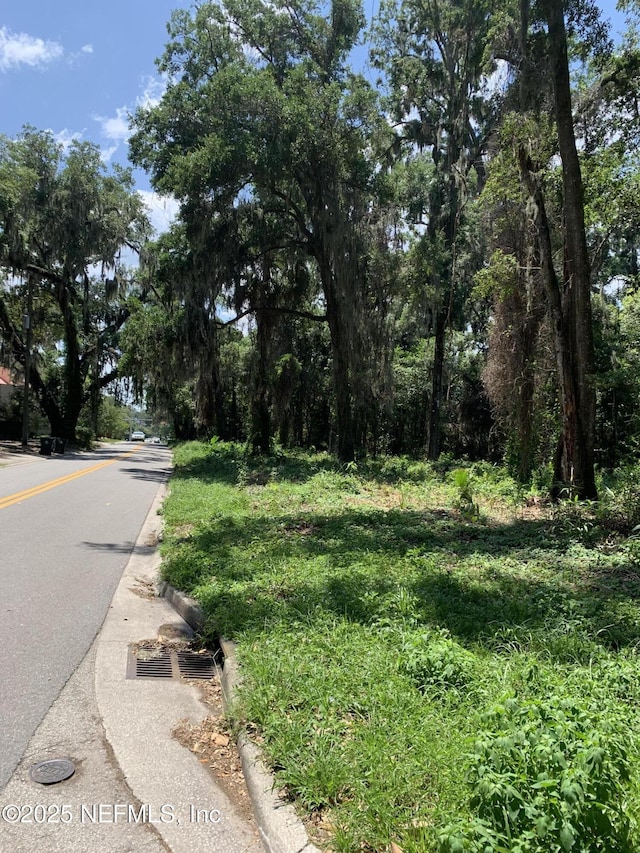 0 Milwaukee Ave, Orange Park, FL 32073 - photo 2