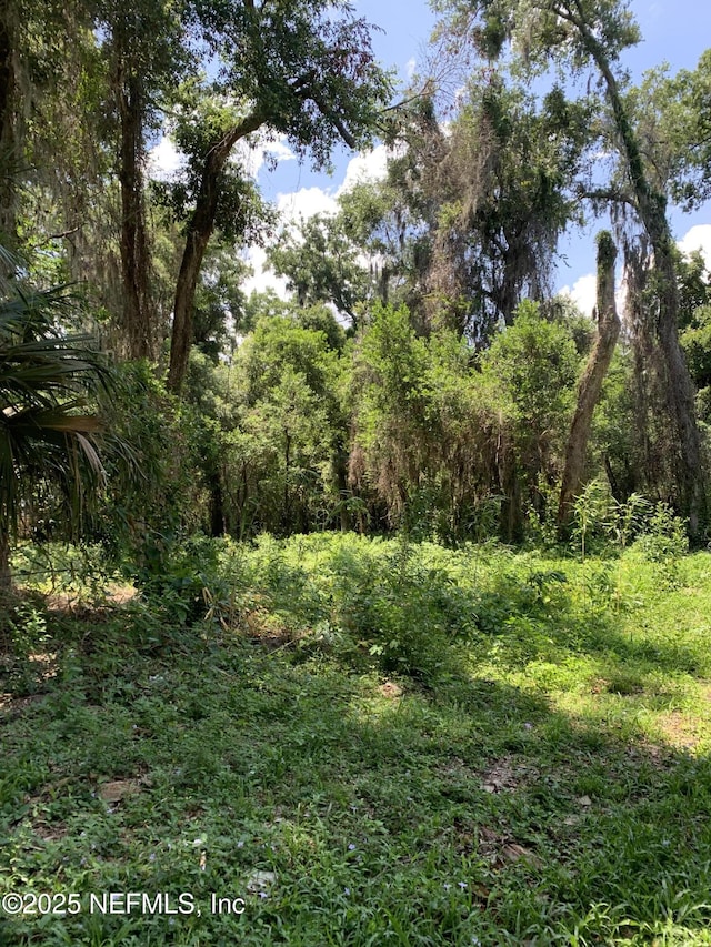 0 Milwaukee Ave, Orange Park, FL 32073 - photo 4