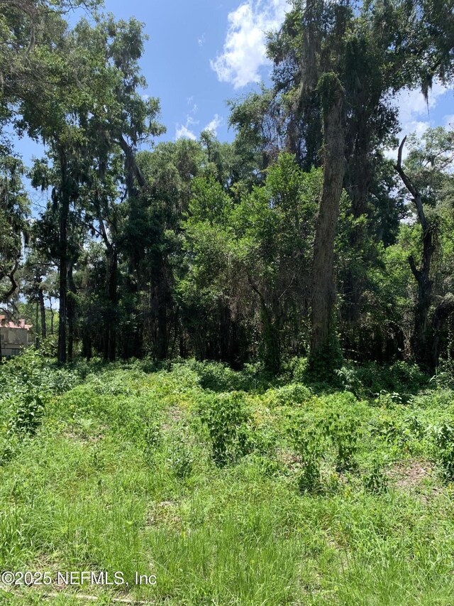 0 Milwaukee Ave, Orange Park, FL 32073 - photo 5