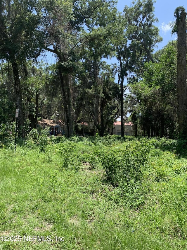 0 Milwaukee Ave, Orange Park, FL 32073 - photo 6