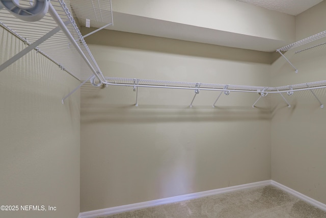 808 Crestwood Dr, Saint Augustine, FL 32086 - photo 31