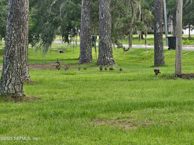 2555 Quail Roost Rd, Middleburg, FL 32068 - photo 53