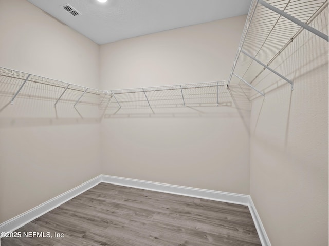 488 Broomsedge Cir, Saint Augustine, FL 32095 - photo 17