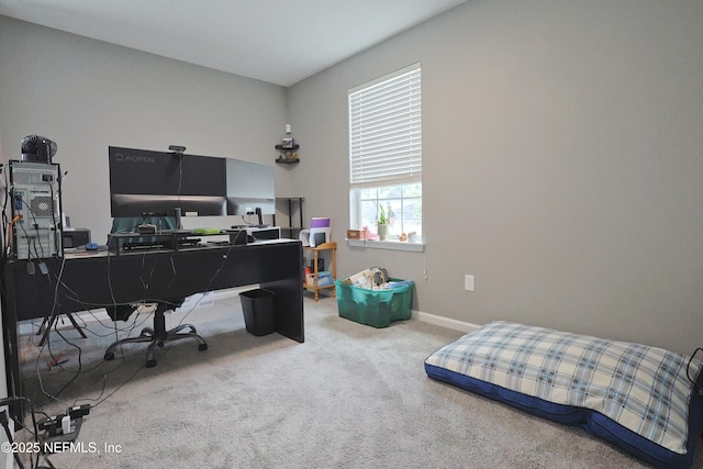 15778 Spotted Saddle Cir, Jacksonville, FL 32218 - photo 41