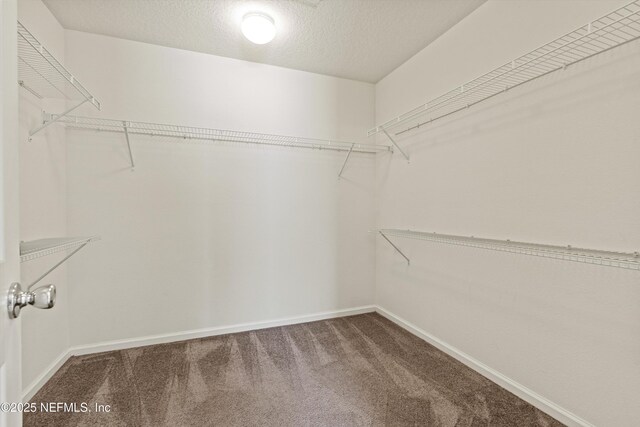 14591 Bartram Creek Blvd, Jacksonville, FL 32259 - photo 9