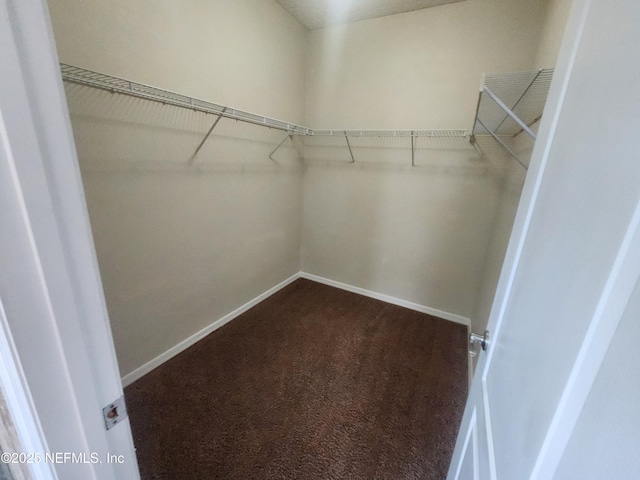12593 Tropic Dr, Jacksonville, FL 32225 - photo 35
