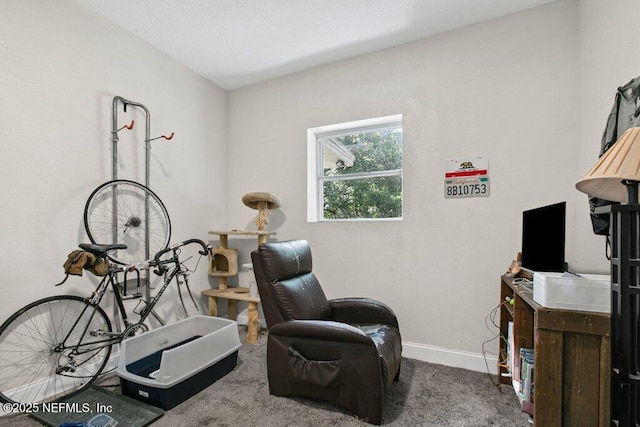 950 Ashton St, Jacksonville, FL 32208 - living area with baseboards and carpet