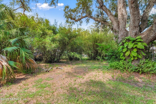 0 E Park Ave, Saint Augustine, FL 32084