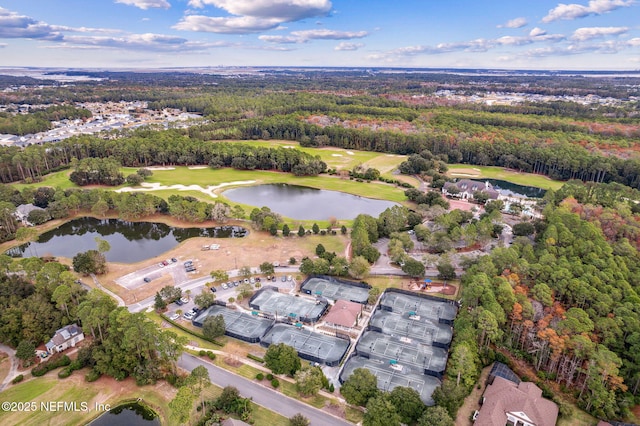95006 Buckeye Ct, Fernandina Beach, FL 32034 - view of property location featuring a large body of water and a golf club