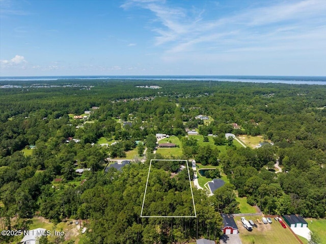 1331 Sheffield Rd, Saint Johns, FL 32259 - aerial view of property's location with a heavily wooded area and property boundaries highlighted