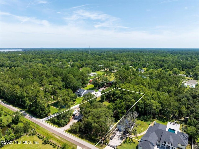 1331 Sheffield Rd, Saint Johns, FL 32259 - view of property location featuring a forest and property parcel outlined