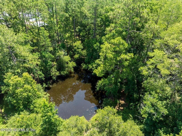 1331 Sheffield Rd, Saint Johns, FL 32259 - aerial view of a forest