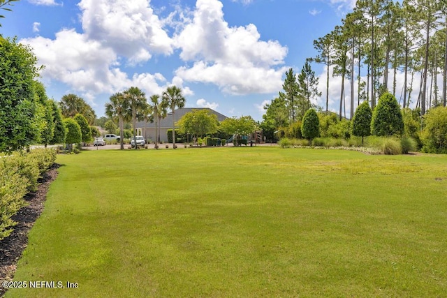 147 Forestview Ln, Jacksonville, FL 32081 - photo 45
