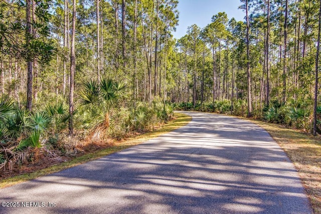 147 Forestview Ln, Jacksonville, FL 32081 - photo 47
