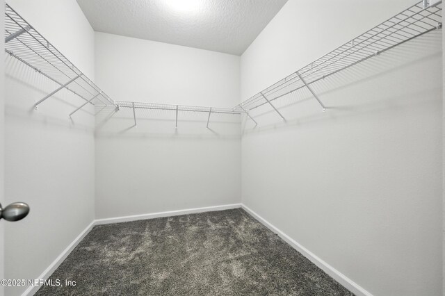 178 Napo Way, Saint Johns, FL 32259 - photo 24