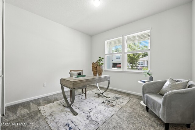 178 Napo Way, Saint Johns, FL 32259 - photo 28