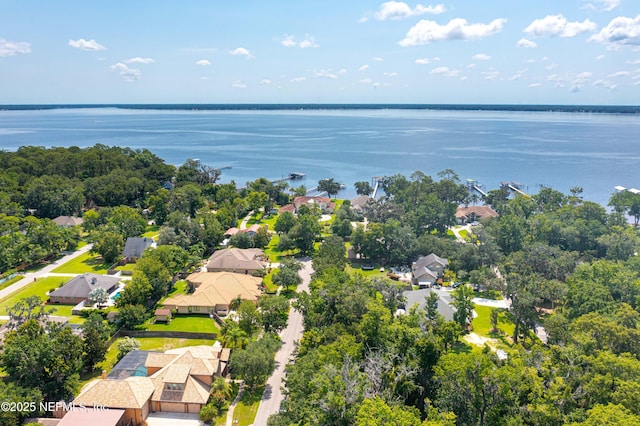 132 Malley Cove Ln, Fleming Island, FL 32003 - photo 66
