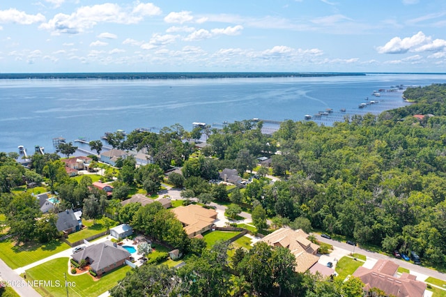 132 Malley Cove Ln, Fleming Island, FL 32003 - photo 59