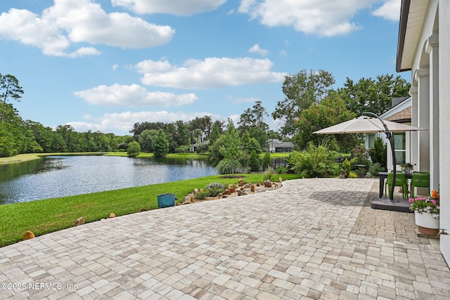 2517 Sunny Creek Dr, Fleming Island, FL 32003 - photo 47