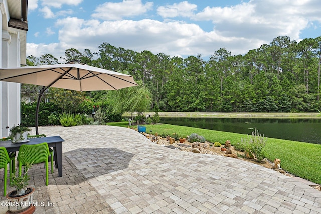 2517 Sunny Creek Dr, Fleming Island, FL 32003 - photo 48