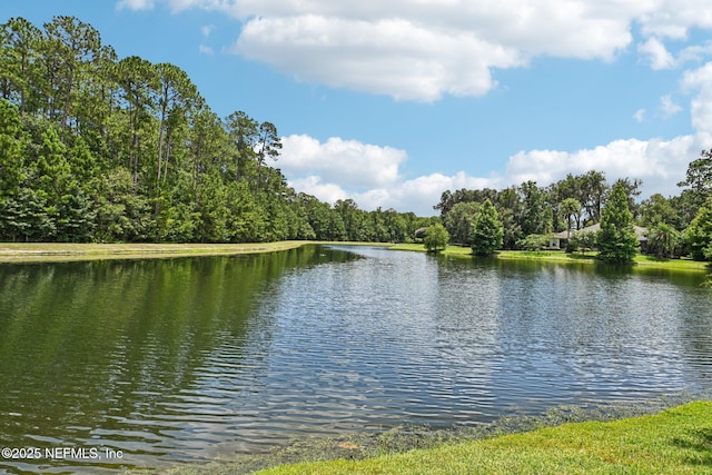 2517 Sunny Creek Dr, Fleming Island, FL 32003 - photo 50