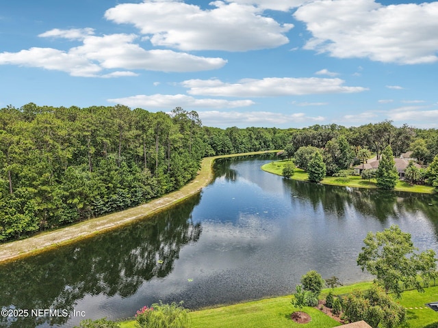 2517 Sunny Creek Dr, Fleming Island, FL 32003 - photo 59