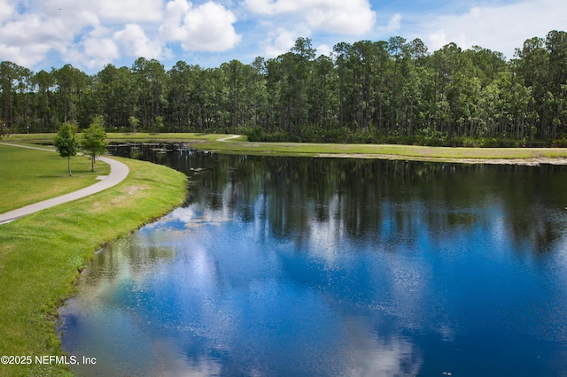 75 Brook Hills Dr, Ponte Vedra, FL 32081 - photo 40