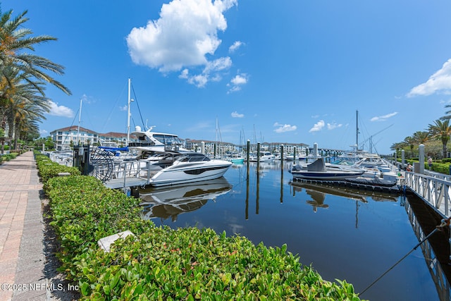 13846 Atlantic Blvd Unit 103, Jacksonville, FL 32225 - dock with a water view and view of marina