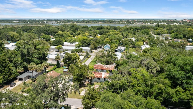 96 Bruen St, Saint Augustine, FL 32084 - aerial view of a tree filled landscape