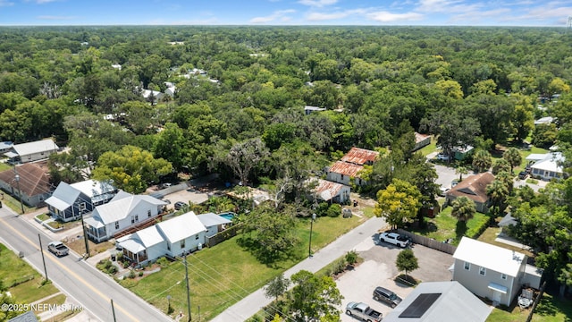 96 Bruen St, Saint Augustine, FL 32084 - bird's eye view of a forest
