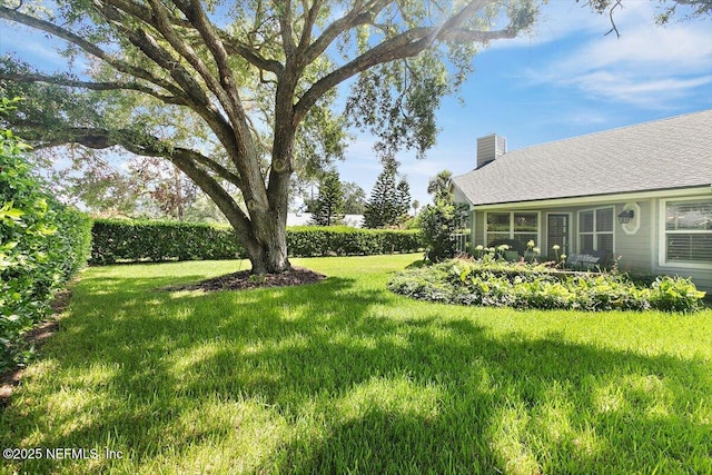 101 Duck Bill Cv, Ponte Vedra Beach, FL 32082 - view of grassy yard
