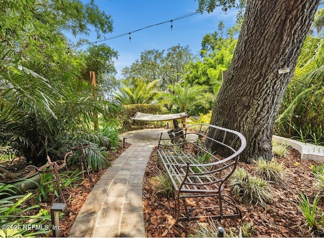 914 Rio St Johns Dr, Jacksonville, FL 32211 - photo 22