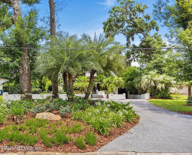 914 Rio St Johns Dr, Jacksonville, FL 32211 - photo 60