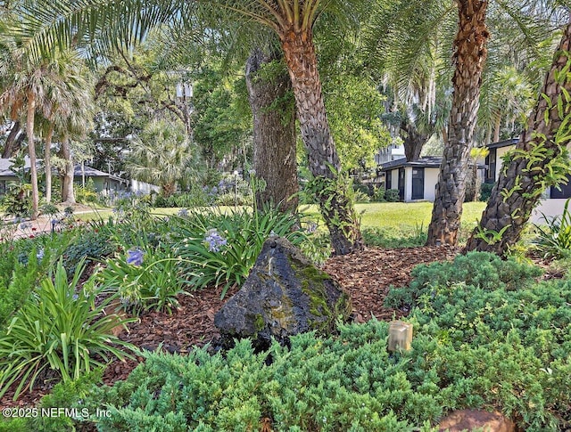 914 Rio St Johns Dr, Jacksonville, FL 32211 - photo 61