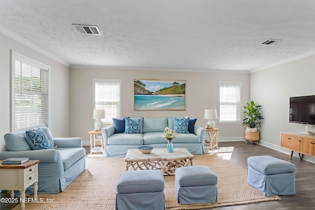 103 Chapin St, Saint Augustine, FL 32084 - living area with wood finished floors, ornamental molding, and a textured ceiling