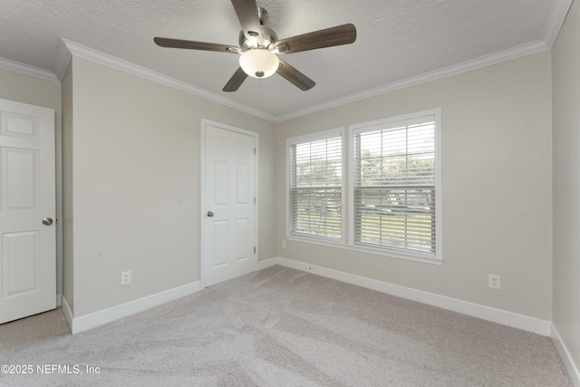 103 Chapin St, Saint Augustine, FL 32084 - spare room featuring light colored carpet, ceiling fan, a textured ceiling, and ornamental molding