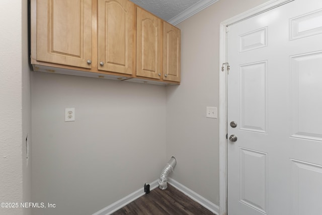 103 Chapin St, Saint Augustine, FL 32084 - washroom featuring dark wood-style flooring, cabinet space, and ornamental molding