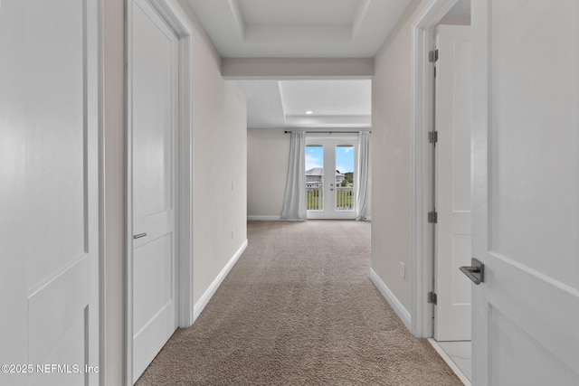 106 Rum Runner Way, Saint Johns, FL 32259 - corridor with carpet and a raised ceiling