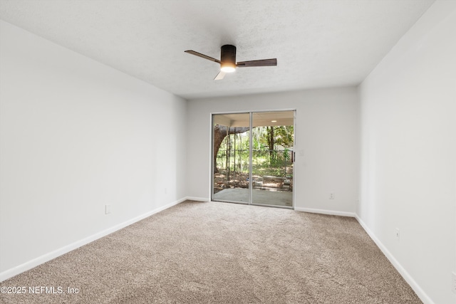 4035 Huntington Forest Blvd, Jacksonville, FL 32257 - photo 16